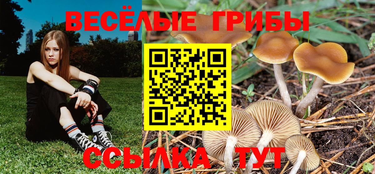 Галлюциногенные грибы мицелий Лабытнанги