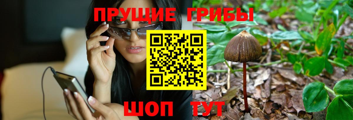 Лабытнанги  Галлюциногенные грибы Cubensis  Вход с VPN  Галлюциногенные грибы Psilocybe 